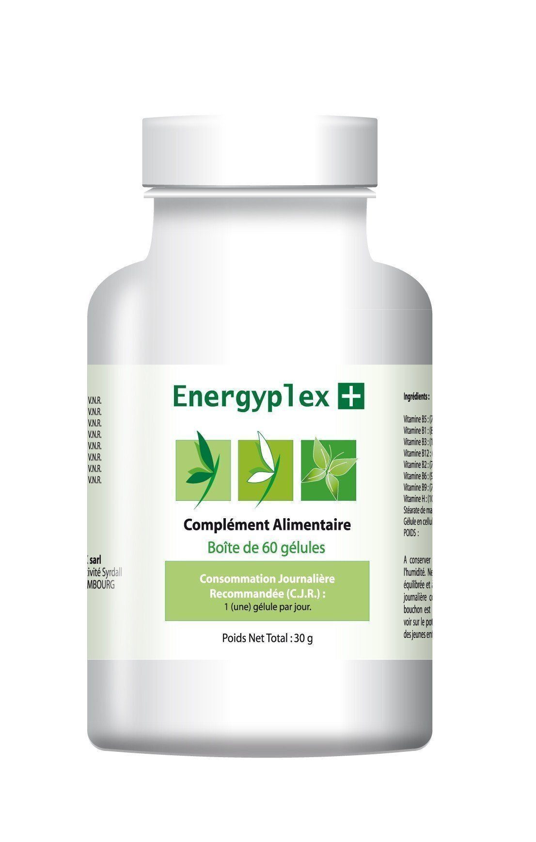 Energyplex
