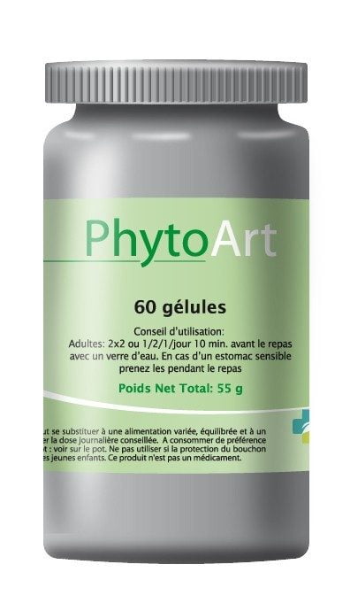 Phytoart