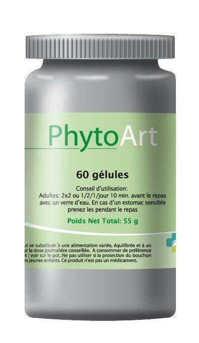 Phytoart 2 Phytoart