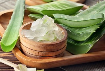 Aloe Vera – Apprenez à l’utiliser dans votre alimentation
