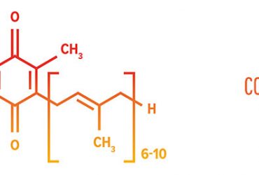 Avantages de la prise de Coenzyme Q10 sous forme liposomale