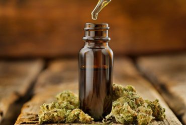 C BD : Guide des produits à base de CBD pour les débutants