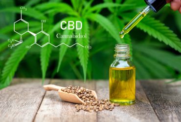 Cannabidiol : Ce que vous devez savoir sur les huiles de CBD