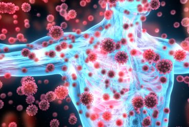 Comment augmenter les défenses naturelles de votre corps ?