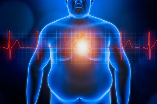 fat or obese man chest body with heart and red ekg heartbeat curve. blue futuristic hologram 3d rendering illustration. obesity, healthcare, medical, wellness, heart disease concepts.