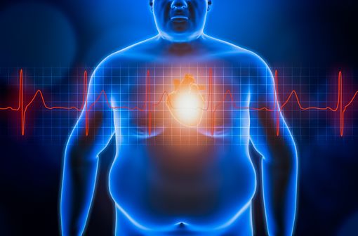 Comment réduire le risque cardiovasculaire : une explication scientifique 1 fat or obese man chest body with heart and red ekg heartbeat curve. blue futuristic hologram 3d rendering illustration. obesity, healthcare, medical, wellness, heart disease concepts.