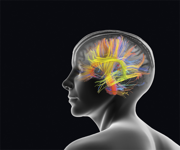 comment savoir si votre cerveau est hyperactif