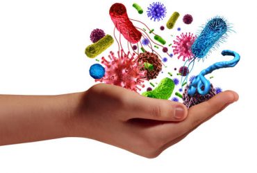 Cartiplex, pour stimuler votre système immunitaire et perdre du poids