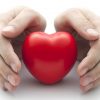 le meilleur protecteur cardiovasculaire pour votre cœur le rôle du régime alimentaire