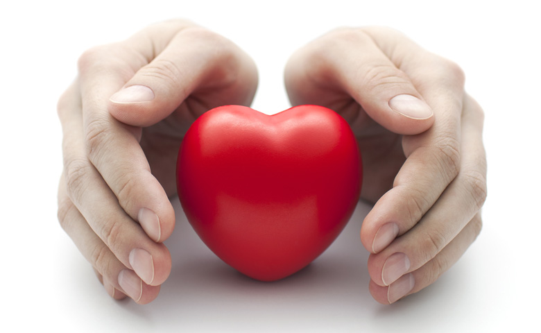 le meilleur protecteur cardiovasculaire pour votre cœur le rôle du régime alimentaire