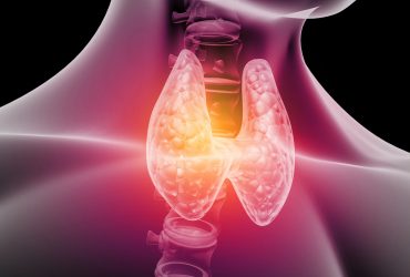 L’iode : Essentiel pour votre santé