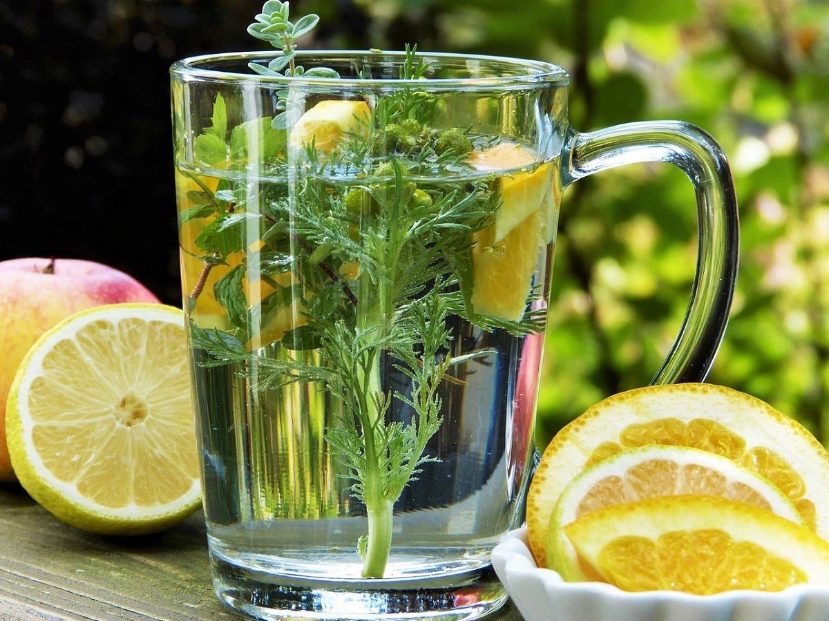 Combattre le stress et les insomnies avec la phytothérapie 1 meta title combattre le stress et les insomnies avec la phytothérapie 12