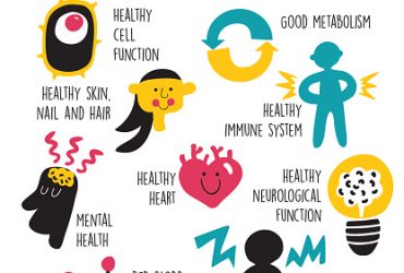 Détoxification du métabolisme des lipides et des triglycérides : Comment ménager votre corps