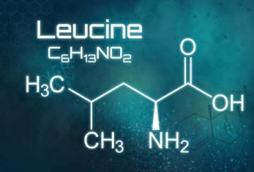 complément alimentaire Acetoplex : Un regard approfondi sur Acetoplex et ses bienfaits