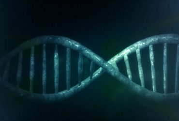 mutant mass : Le guide ultime pour fabriquer votre propre masse
