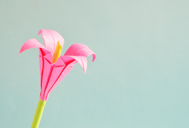 Qu’est-ce que le vaginisme et comment est-il résolu ?