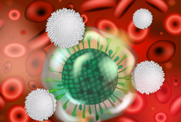 Ce qu’il faut savoir sur la lymphopénie