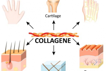 La meilleure façon d’obtenir plus de collagène