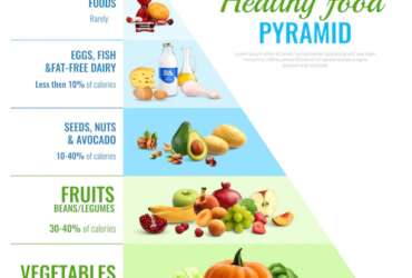 Les meilleures sources d’alimentation pour rester en bonne santé