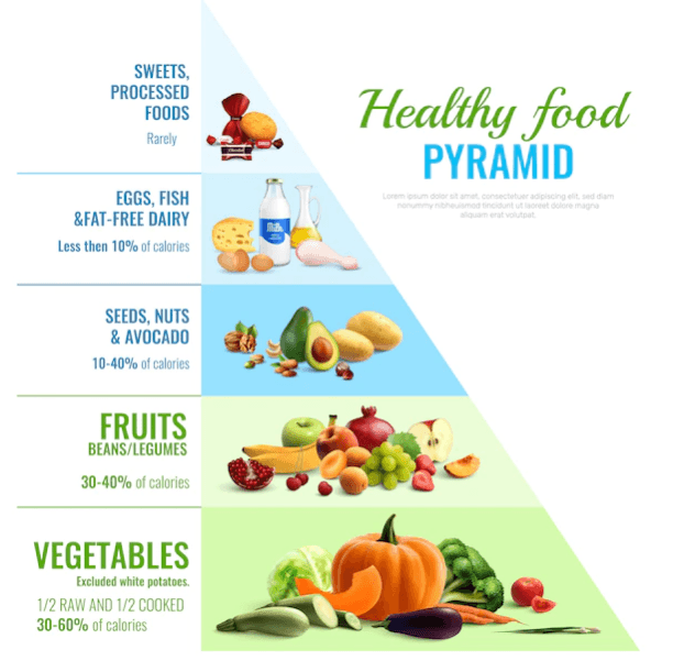 Les meilleures sources d'alimentation pour rester en bonne santé 1 alimentation