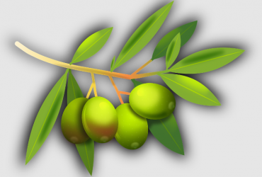 Les principaux avantages des olives pour la santé
