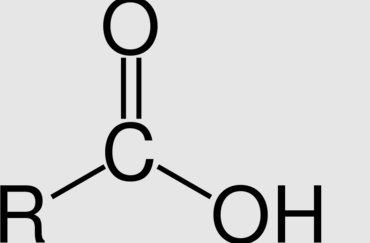 l’acide caprylique : Bienfaits, origine, sources et propriétés