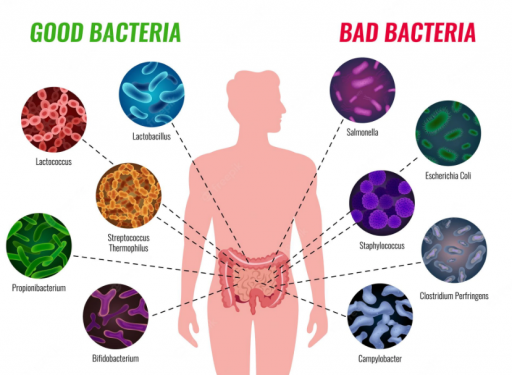 infections bacteriennes
