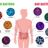 infections bactériennes