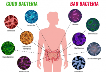 Les principales infections bactériennes chroniques