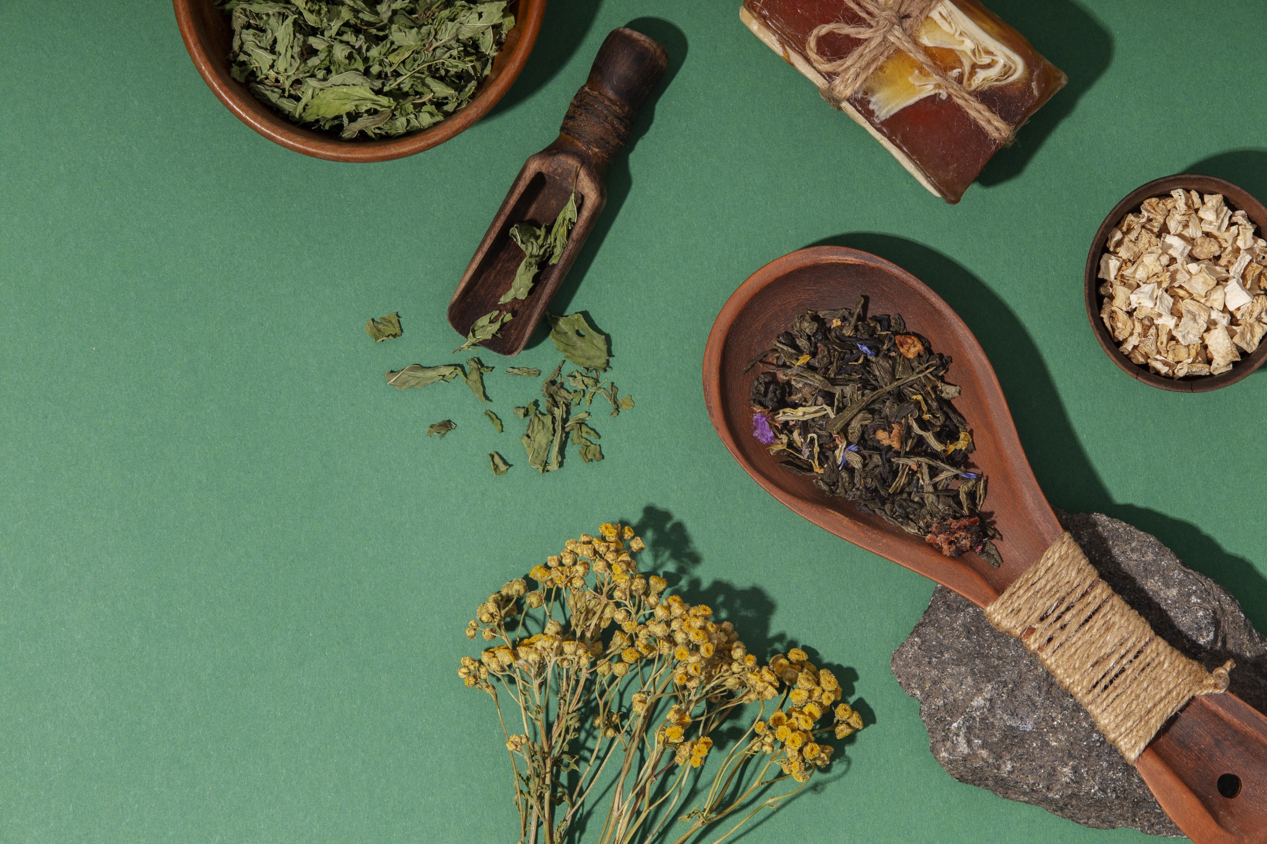 Les avantages cachés de la phytothérapie pour améliorer votre santé mentale 1 la phytothérapie