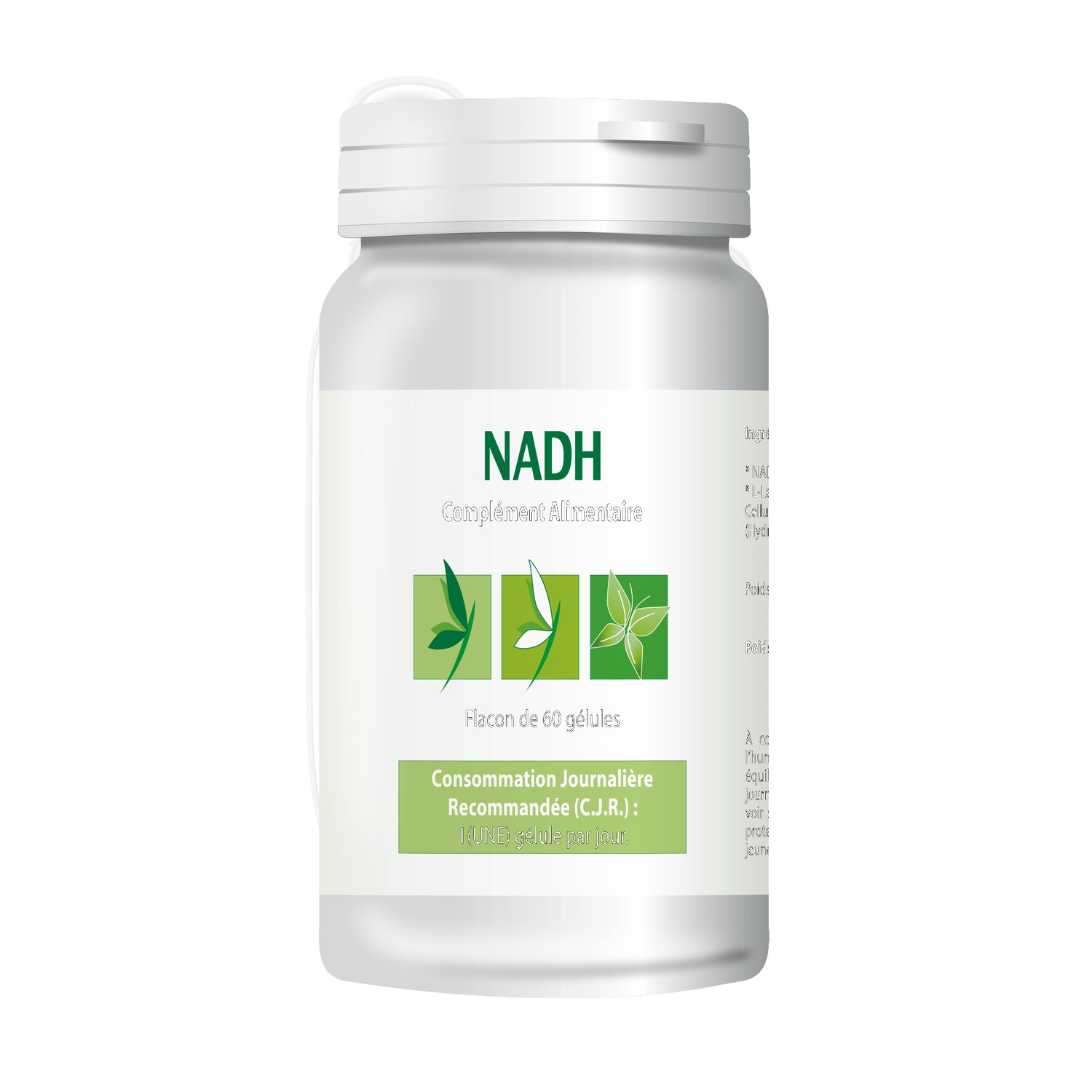 NADH coenzyme energie flacon Labeffiplex
