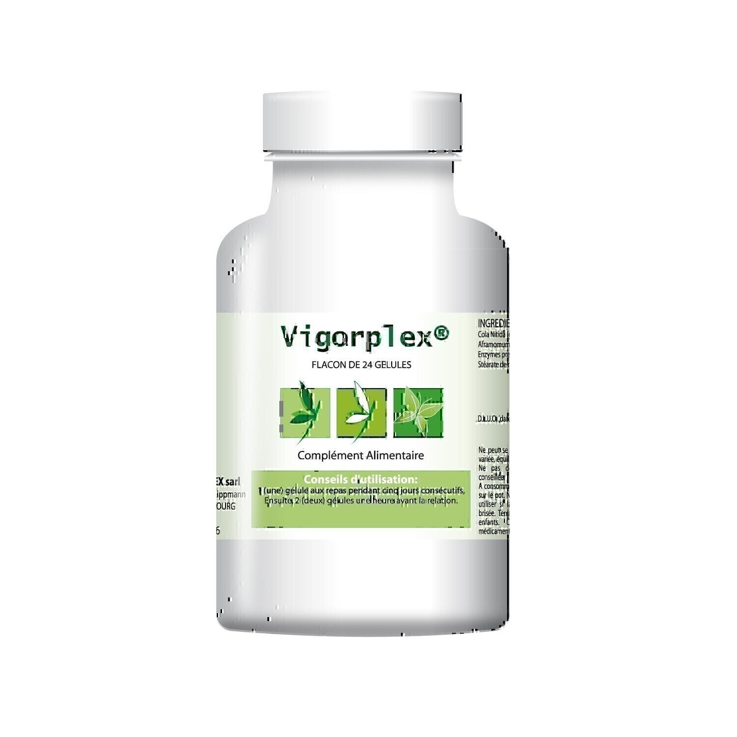 Vigorplex 1 Vigorplex vitalite tonus flacon Labeffiplex